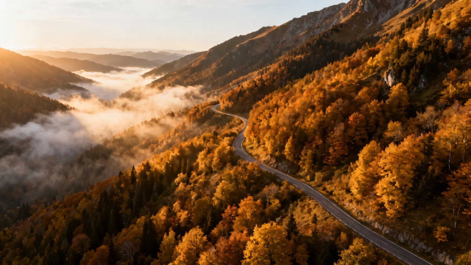 Route sinueuse a travers une foret automnale vue du ciel